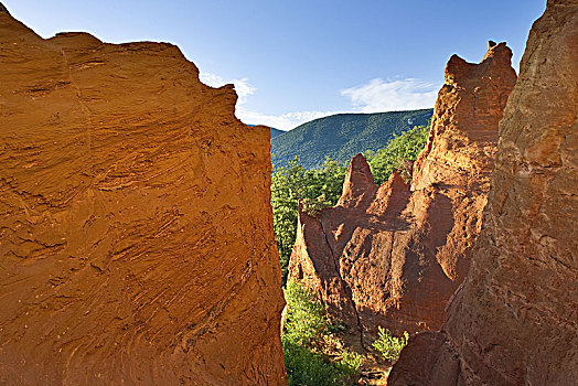 lo bach thủ