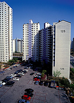 cau mien bac bach thu