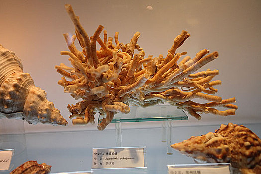 cầu lô bạch thủ khung 3 ngày