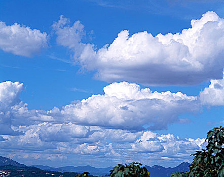 cau xs da nang