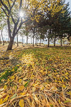 xo so miền bắc