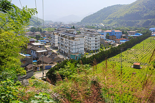 soi cau rong bach kim 888