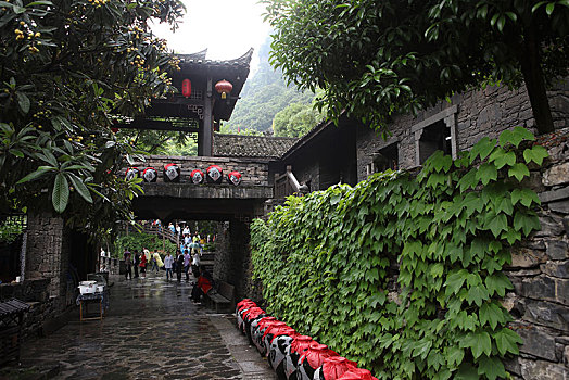 soi đề miền bắc