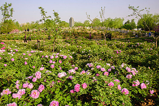 du doan xo so minh ngoc
