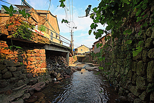 số cà mau