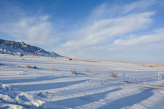 xs24h