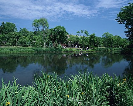 số vũng tàu