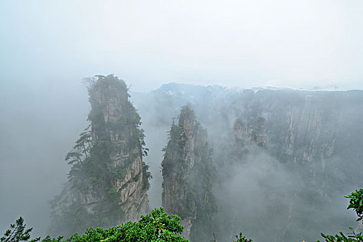 soi cau lo chuan hom nay
