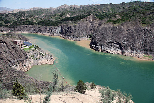 soi cau an thong