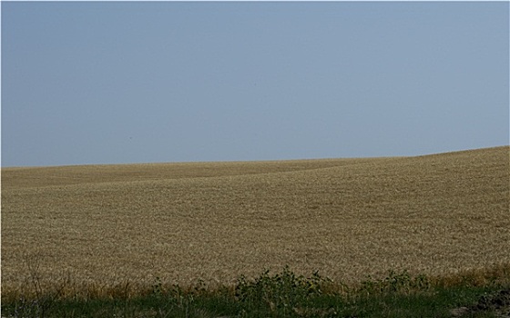 soi câu 2888