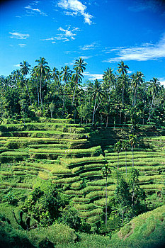 xsmb soi cau hom nay