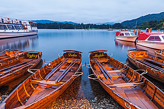 soi bạch thủ miền bắc