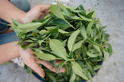 xổ số miền bắc trong tuần