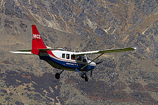 soicau29