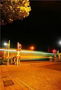 soi câu rong bach kim