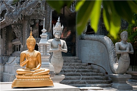 soi cau 888 mien phi mb