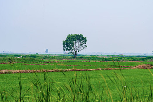 miền bắc hôm nay