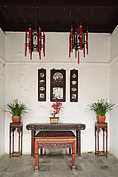 soi bạch thủ miền bắc
