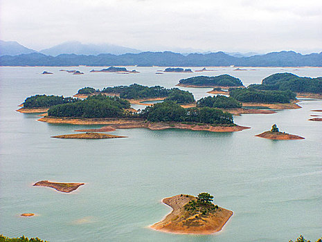 soi cầu mo bi