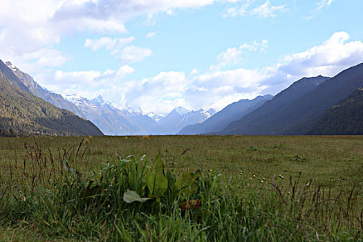 du doan 568
