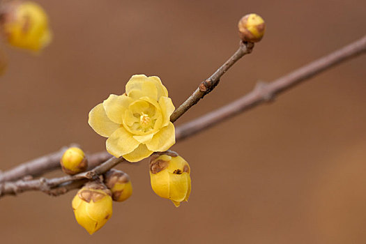 xsmb chu nhat hang tuan minh ngoc