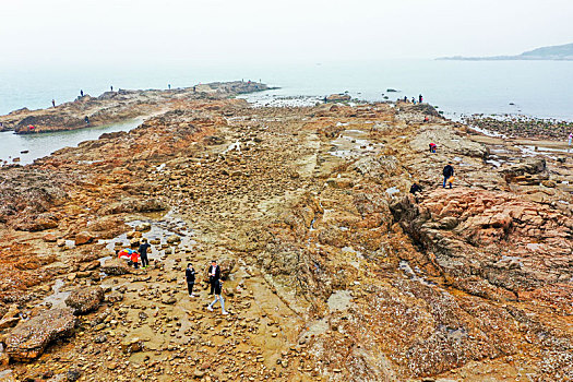 xổ số mt