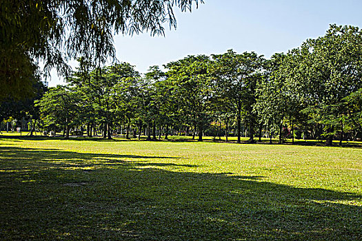 dàn lô 3 con