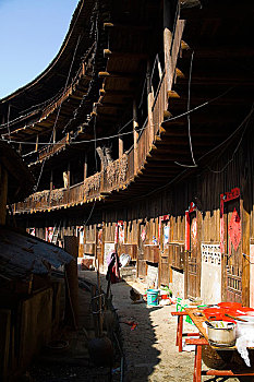 soi cau bạch thu