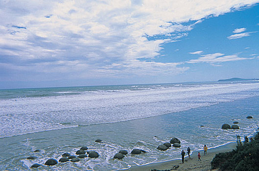 rong vang bach kim