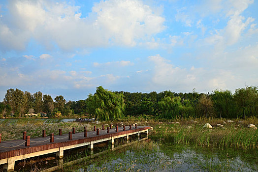 ikanzi x9