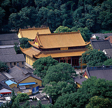lo bach thu khung 5 ngay