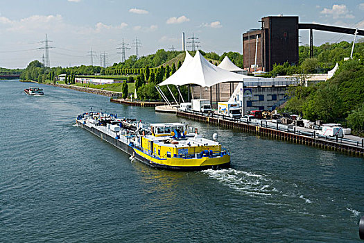 3 càng vip