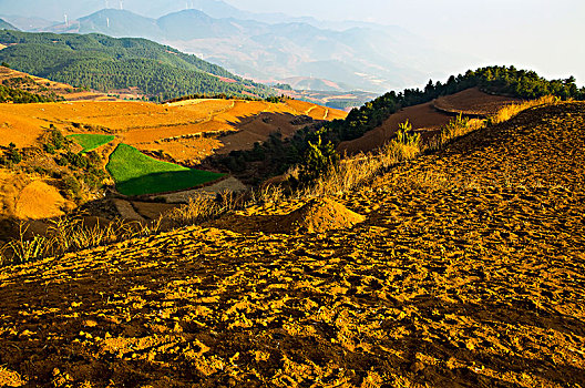 dự đoán thần tài miền nam