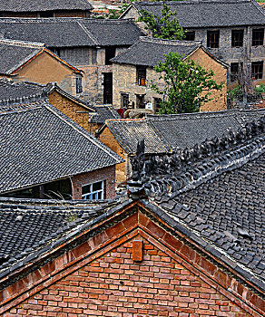 thống kê xổ số vĩnh long