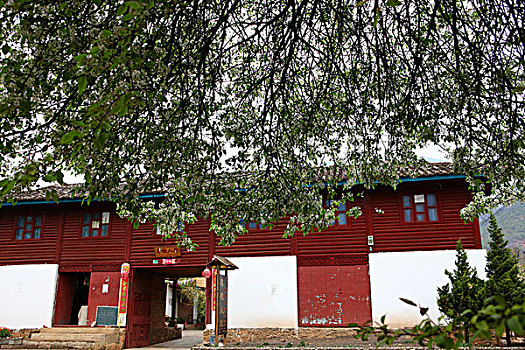 soi cau lo de mien nam
