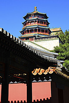 dự đoán xo so